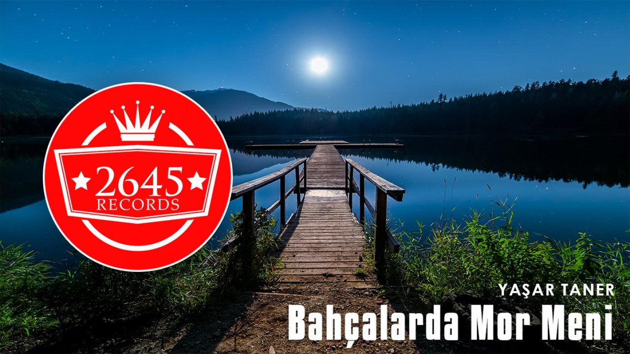 Yaşar Taner - Bahçalarda Mor Meni (Yeni)