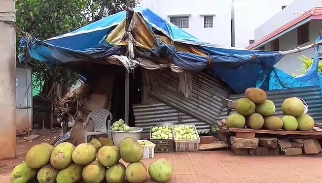ஏலகிரியில் துரைமுருகன் பங்களாவுக்குள் நுழைந்த மர்ம நபர்கள்- கொள்ளை முயற்சி - வீடியோ