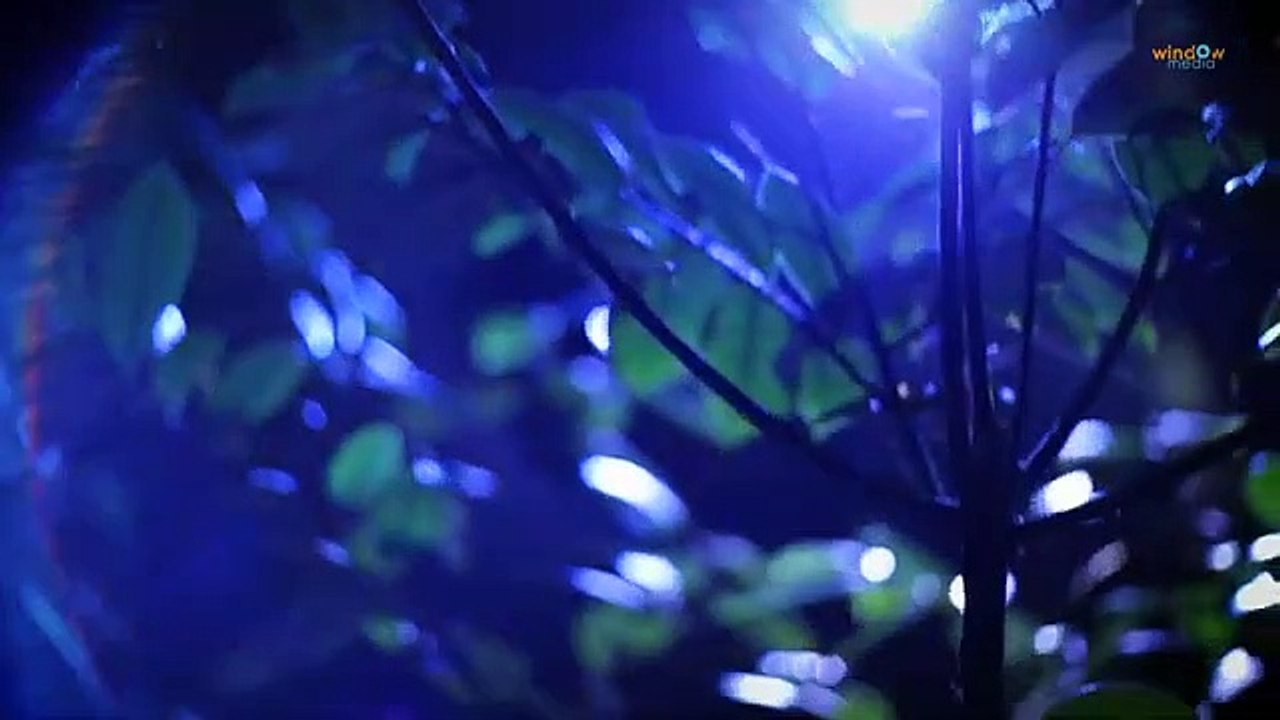 Enjoy Enjaami _ Aami Version