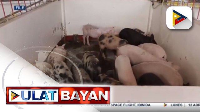 Modus umano ng Dep’t of Agriculture kasabwat ang mga importer, ibinunyag; Sec. Dar, itinanggi ang paratang sa kagawaran
