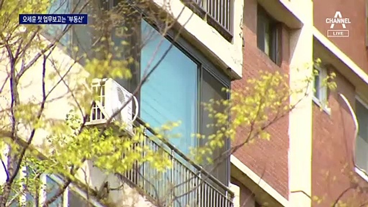 吳 1호 업무 보고는 부동산…공시가격 보고 매주 받는다