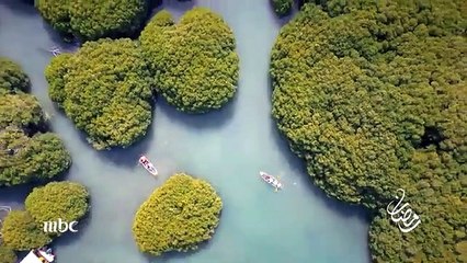 أحمد الشقيري يعود في رمضان 2021 ببرنامج سين