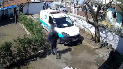 Köpeğin saldırısından kaçan kuryenin ağaca çıktığı anlar kamerada