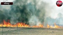 अधिकारी ने किसान पर खेतों में पराली जलाने पर कराया मामला दर्ज