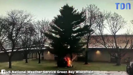 La foudre frappe un arbre près d'un lycée et le détruit !