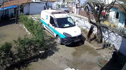 Sakarya'da trajikomik olay