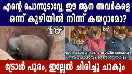 ശ്രീ ആന അവര്‍കള്‍ ഇന്നും കുഴിയിലാണ് മക്കളേ  | Oneindia Malayalam