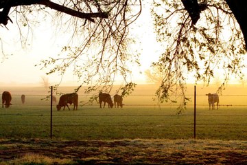 Todd Drummond on Returning to the Drummond Family Ranch One Day