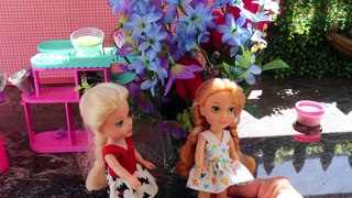 Florist ! Elsa and Anna Toddlers