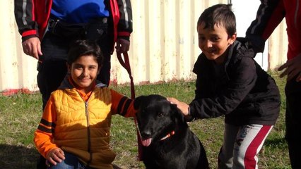 Arama kurtarma köpeğine oy birliğiyle 'Gece' ismi verildi