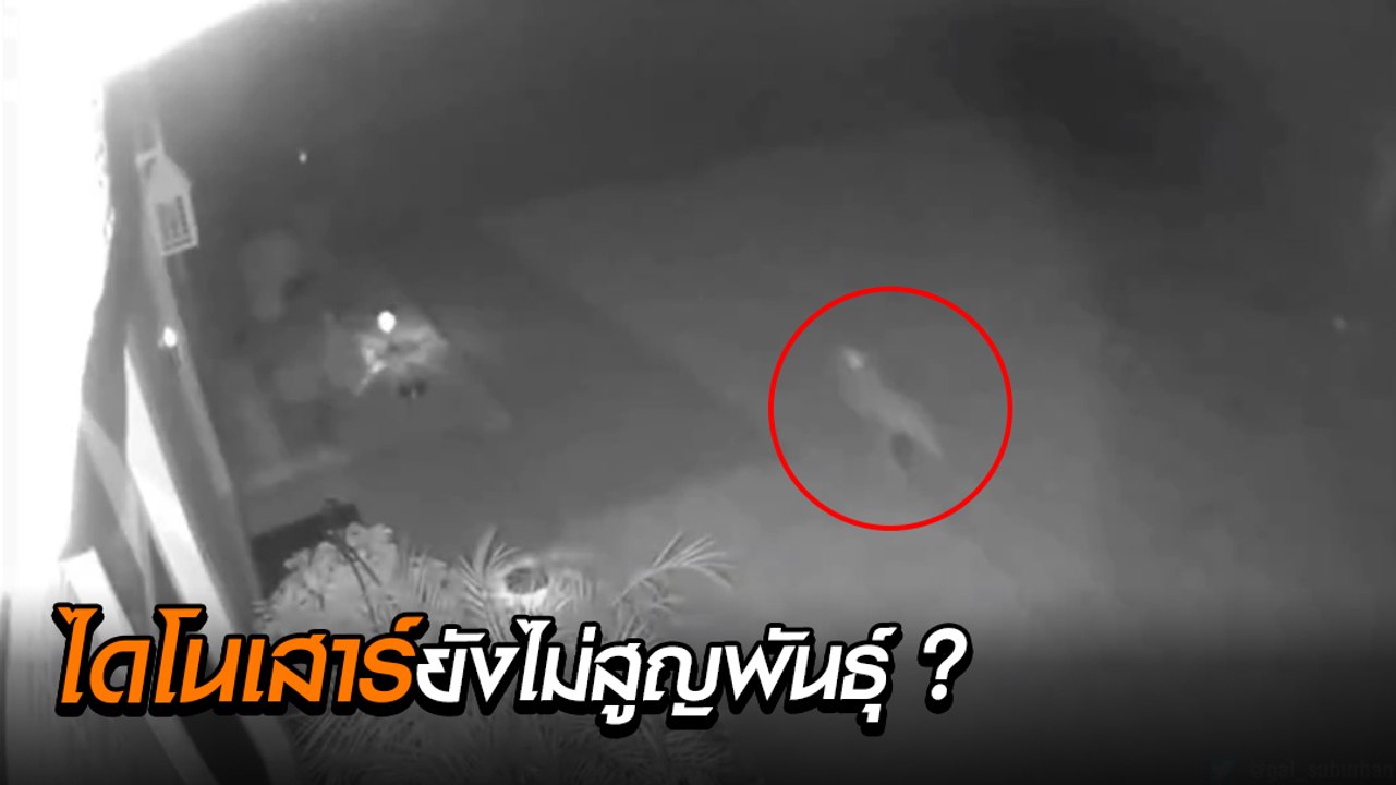 ฮือฮา ! พบตัวประหลาด คล้ายแร็ปเตอร์วิ่งผ่านบ้าน...