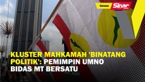 Kluster mahkamah 'binatang politik': Pemimpin UMNO bidas MPT Bersatu