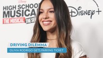 Drivers License' Singer Olivia Rodrigo Gets Parking Ticket: Driving 'Isn't All Fun and Games'