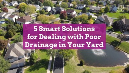 5 Smart Solutions for Dealing with Poor Drainage in Your Yard
