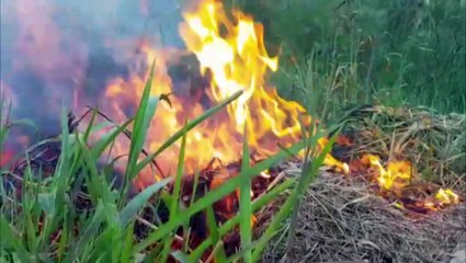 Área de vegetação é consumida pelo fogo no Conjunto Sanga Funda, em Cascavel