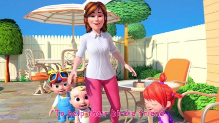 Itsy Bitsy Spider (Birdie Edition) - CoComelon Nursery Rhymes & Kids Songs