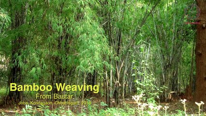 Bamboo Weaving From Bastar