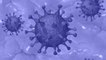 India sees over 1.61 lakh new virus cases in 24 hours