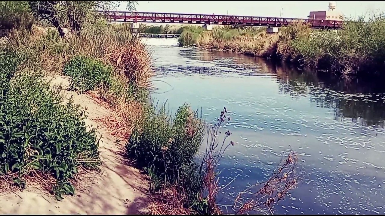 wetland River 2