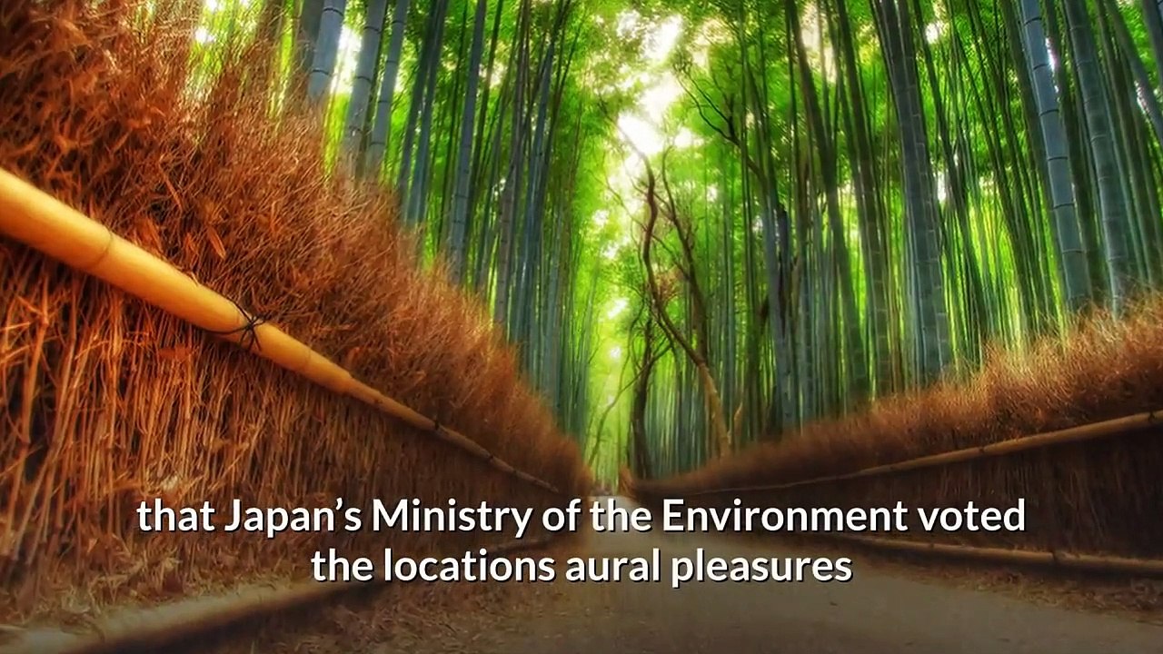 Sagano Bamboo Forest – Kyoto, Japan