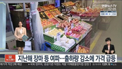 [센터뉴스] 치솟는 장바구니 물가…사과·배 가격 고공행진 外
