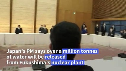 Japan to release treated Fukushima water into the sea: PM