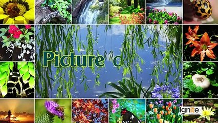 148  Graphic Design  Theory Important Techniques to make interesting LayoutsCompositions   Use Eleme