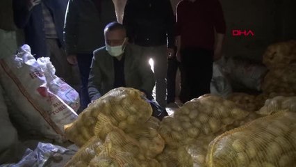 NİĞDE'DEN PATATES SEVKİYATI DEVAM EDİYOR