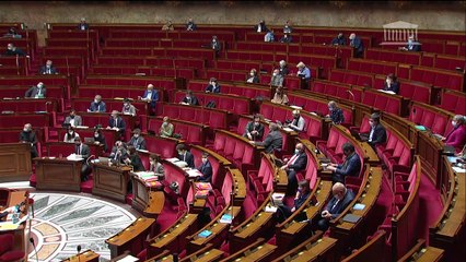 2ème séance : Lutte contre le dérèglement climatique (suite) - Lundi 12 avril 2021