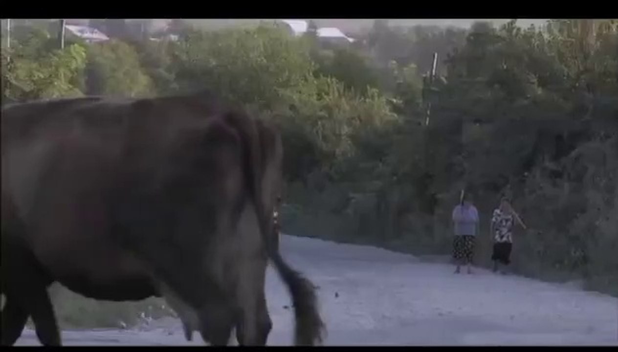 State de Romania - Episodul (006)