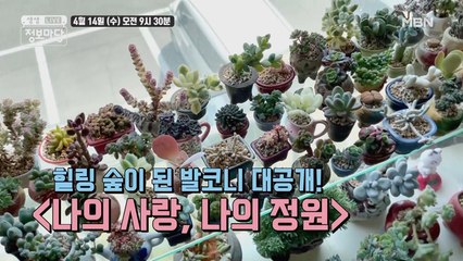 생생 정보마당 [860회] - 실속 있는 수요일