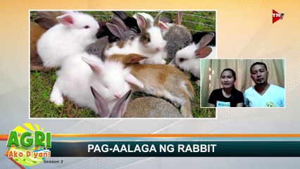 “PAG-AALAGA NG RABBIT” Ep.22 AGRI Ako D’yan