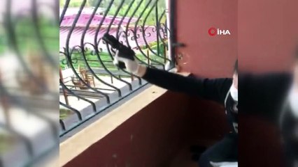 Adana’da silah kaçakçılığı operasyonu: 20 gözaltı