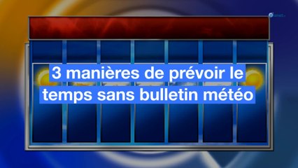 3 manières de prévoir le temps sans bulletin météo