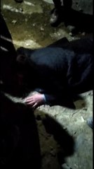 KAPKAÇÇIYI İNŞAAT İŞÇİLERİ YAKALADI