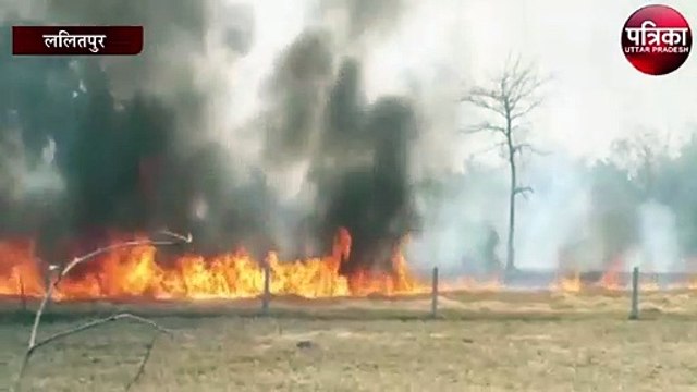 अधिकारी ने किसान पर खेतों में पराली जलाने पर कराया मामला दर्ज