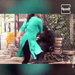 Meet Toto The Gorilla From Movie Hello Charlie, Watch His Funny Prank And Cool Moves With Shraddha Kapoor And Sidhhant Chaturvedi