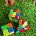 Here's A Cute Video Of Rajpal Yadav And His Daughter Solving Rubik's Cube