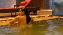 Sara Ali Khan की Semi-Nude Photos Kashmir Trip पर हुई Viral, Check Out | FilmiBeat