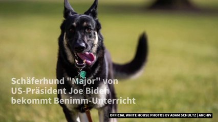 Bidens Schäferhund bekommt Benimmunterricht