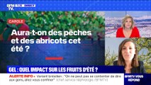 BFMTV répond à vos questions : Elections régionales, comment ça marche ? - 13/04