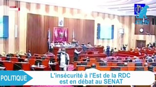 RDC : Débat au Sénat sur l'insécurité dans l'est du pays