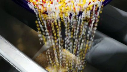 Il nuovo boom dei dischi in vinile: a Madrid, dopo 24 anni, ha aperto una nuova fabbrica "musicale"