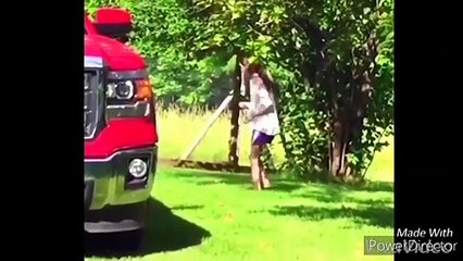 Funny chickens and roosters Chasing kids
