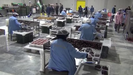 Afyonkarahisar'da işlenen hurmalar Türkiye'nin dört bir yanına gönderiliyor