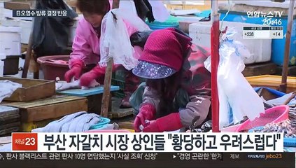 日오염수 방류 결정…자갈치 상인들 "경악 금치 못해"