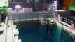 Japan Approves Plan to Dump Fukushima’s Nuclear Wastewater Into the Ocean