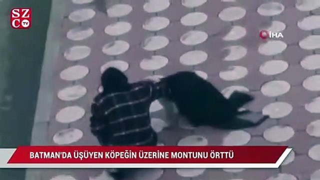 Batman’da üşüyen köpeğin üzerine montunu örttü