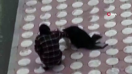 Batman’da duygulandıran hareket...Üşüyen köpeğin üzerine montunu örttü