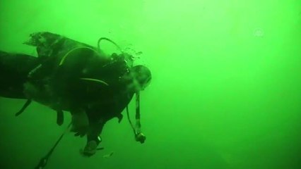 "Kesin korunacak hassas alan" ilan edilen Tavşan Adası, korunan ekosistemiyle bilim merkezi olacak